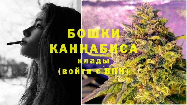 ПСИЛОЦИБИНОВЫЕ ГРИБЫ Аркадак