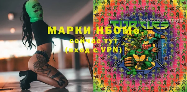 ECSTASY Каменка