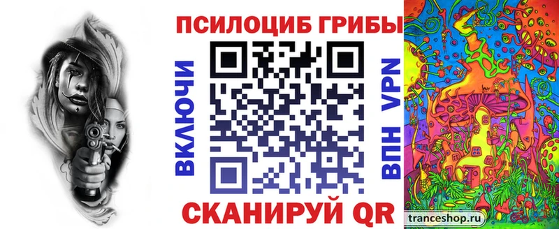 закладки  гидра ссылка  shop формула  Жиздра  Галлюциногенные грибы GOLDEN TEACHER 